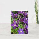 Search for clematis cards Purple flowers