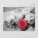 Search for rose background postcards Black