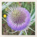 Search for thistle coasters Pattern