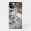 Search for pit bull iphone cases Terrier