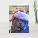 Search for funny cat christmas cards Festive