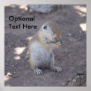 Search for praying photography Animal