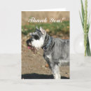 Search for schnauzer thank you cards Dog