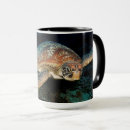 Search for green sea turtle mugs Coral