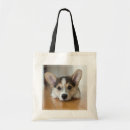 Search for corgi bags Pet