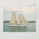 Search for sail cards invites Harbour