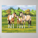 Search for buckskin horse posters Horses