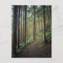 Search for parkland postcards Landscape
