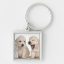 Search for retriever puppy key rings Nature