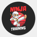 Search for ninja boy stickers Party