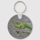 Search for mantids key rings Bugs