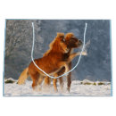 Search for horse gift bags Funny