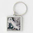 Search for arctic fox key rings Ice
