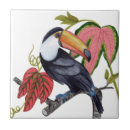 Search for toucan tiles Jungle