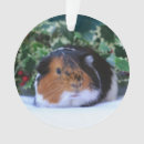 Search for piggy christmas tree decorations Piggie