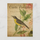 Search for vintage cartes postales Bird