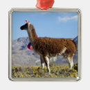 Search for lama christmas tree decorations Animal