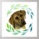 Search for rhodesian posters Dog