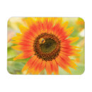 Search for usa magnets Danita delimont