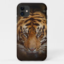 Search for tiger face iphone cases Tigers