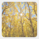 Search for sierra nevada mountains stickers Forest