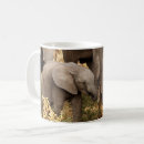 Search for south african coffee mugs Elephant