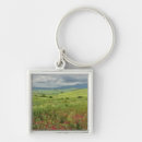 Search for regione key rings Italy