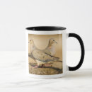 Search for mourning dove mugs Wildlife