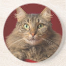 Search for maine coon cat coasters Feline