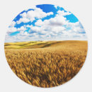 Search for cropping stickers Colour