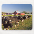 Search for dairy electronics Barn