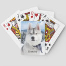 Search for photography games Dog