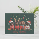 Search for dachshund merry christmas cards Santa claus