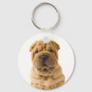 Search for sharpei key rings Puppy