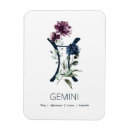 Search for gemini magnets Astrology