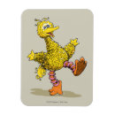 Search for big bird magnets Sesame street