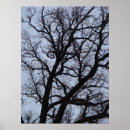 Search for halloween tree posters Scary