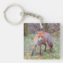 Search for cute fox key rings Foxy