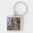 Search for temperature key rings Two