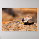 Search for reptile posters Desert