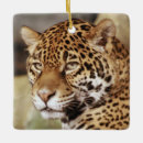 Search for jaguar christmas tree decorations Animal