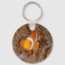 Search for anemone key rings Coral reef