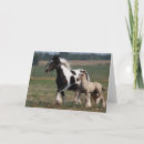 Search for gypsy vanner cards Mare