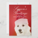 Search for people christmas cards Pets