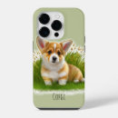 Search for cute corgi iphone cases Grass