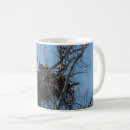 Search for birds of prey mugs Bald eagle