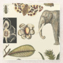 Search for insect coasters Cream