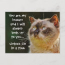 Search for funny cat quotes postcards Cats