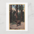 Search for browning postcards States