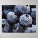 Search for stuff shot posters Fruit
